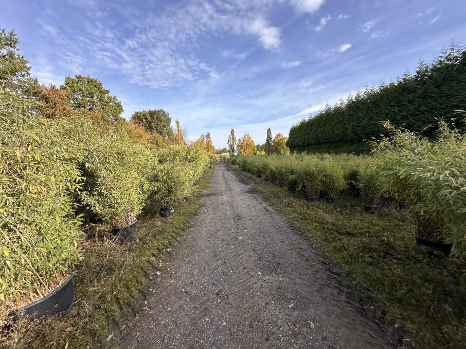 24-10-16 10-41-00 0924